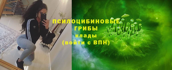 прущий лед Верея