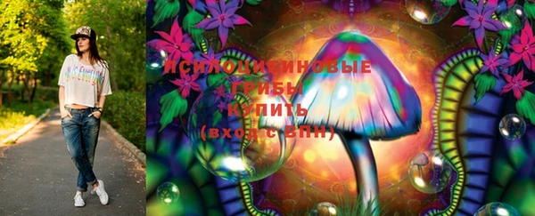 прущий лед Верея