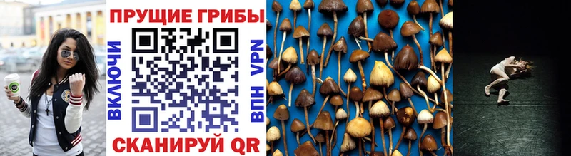 Псилоцибиновые грибы мухоморы  Севастополь 